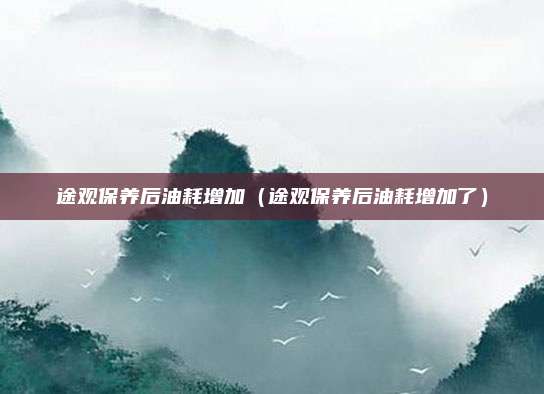 途观保养后油耗增加（途观保养后油耗增加了）