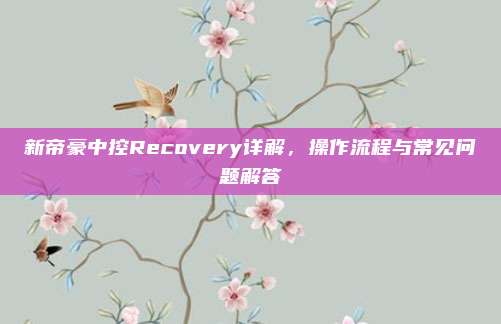新帝豪中控Recovery详解,操作流程与常见问题解答