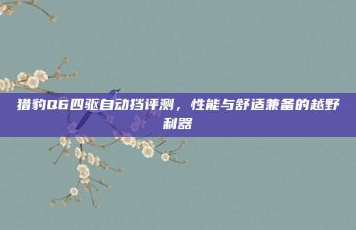 猎豹Q6四驱自动挡评测,性能与舒适兼备的越野利器