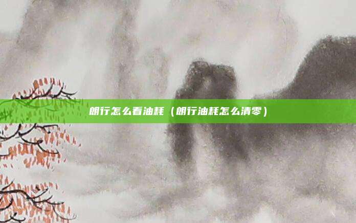 朗行怎么看油耗（朗行油耗怎么清零）