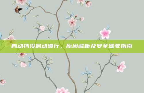 自动挡没启动滑行,原因解析及安全驾驶指南