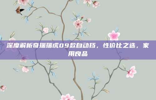 深度解析奇瑞瑞虎09款自动挡,性价比之选,家用良品