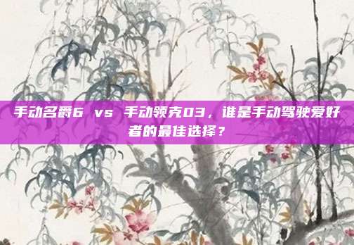 手动名爵6 vs 手动领克03,谁是手动驾驶爱好者的最佳选择?