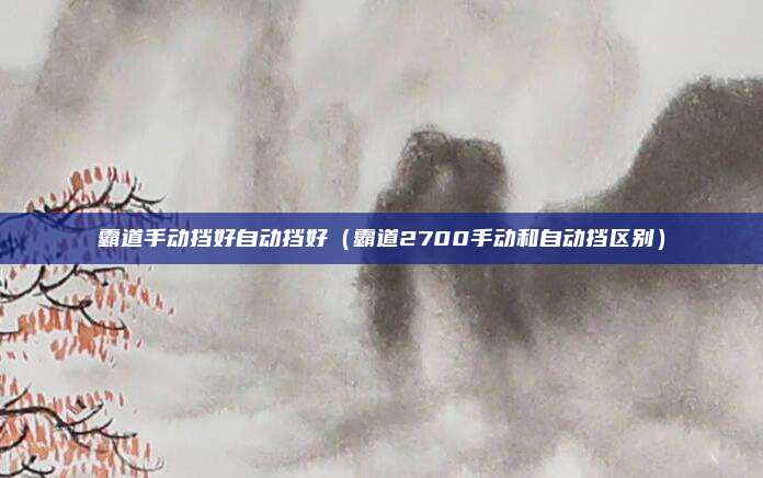 霸道手动挡好自动挡好（霸道2700手动和自动挡区别）