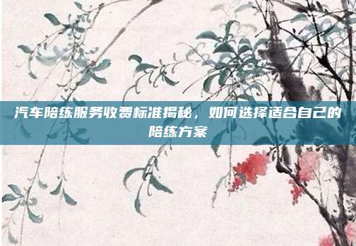 汽车陪练服务收费标准揭秘,如何选择适合自己的陪练方案