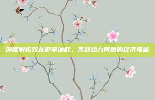 深度解析双龙御享油耗,高效动力背后的经济考量