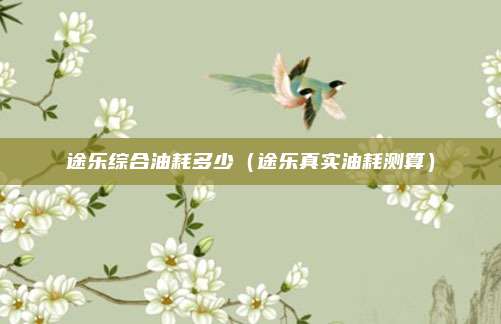 途乐综合油耗多少（途乐真实油耗测算）