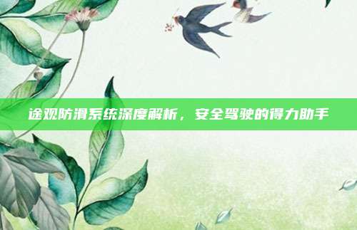 途观防滑系统深度解析,安全驾驶的得力助手
