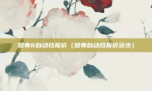哈弗6自动挡报价（哈弗自动挡报价多少）