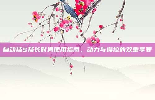 自动挡S挡长时间使用指南,动力与操控的双重享受