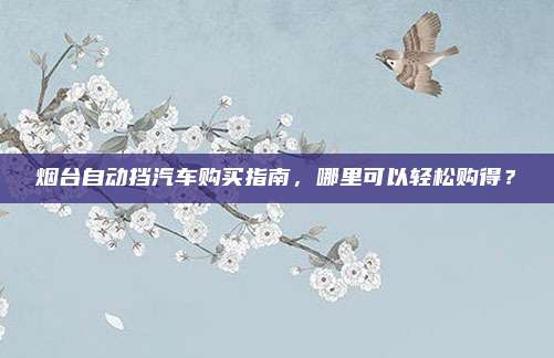 烟台自动挡汽车购买指南,哪里可以轻松购得?