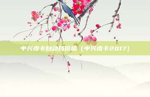 中兴皮卡自动挡价格（中兴皮卡2017）