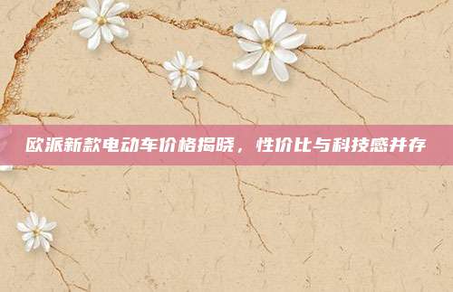 欧派新款电动车价格揭晓,性价比与科技感并存