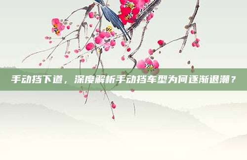手动挡下道,深度解析手动挡车型为何逐渐退潮?