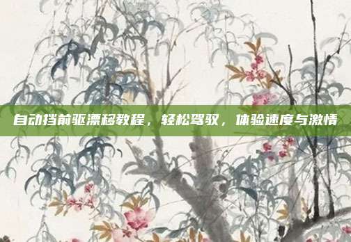 自动挡前驱漂移教程,轻松驾驭,体验速度与激情
