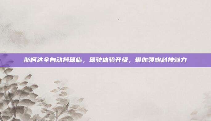 斯柯达全自动挡驾临,驾驶体验升级,带你领略科技魅力