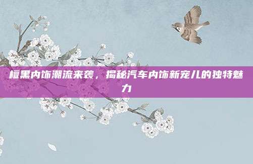 檀黑内饰潮流来袭,揭秘汽车内饰新宠儿的独特魅力