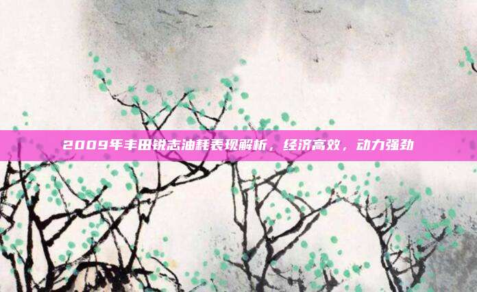 2009年丰田锐志油耗表现解析,经济高效,动力强劲