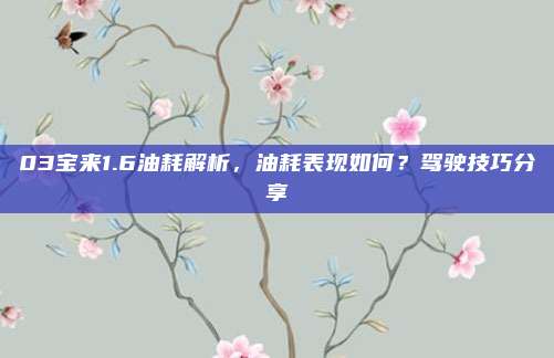 03宝来1.6油耗解析,油耗表现如何?驾驶技巧分享