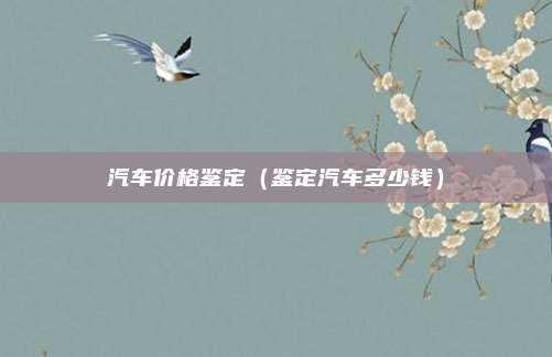 汽车价格鉴定(鉴定汽车多少钱)
