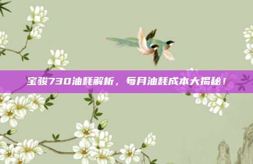 宝骏730油耗解析,每月油耗成本大揭秘!