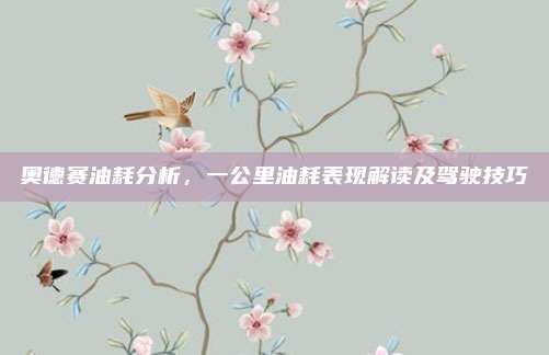 奥德赛油耗分析,一公里油耗表现解读及驾驶技巧