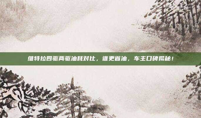 维特拉四驱两驱油耗对比,谁更省油,车主口碑揭秘!