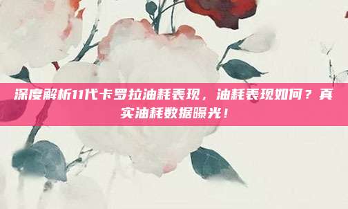 深度解析11代卡罗拉油耗表现,油耗表现如何?真实油耗数据曝光!