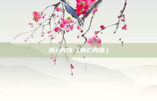 新c内饰(新C内饰)