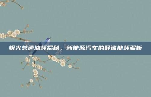 极光怠速油耗揭秘,新能源汽车的静谧能耗解析