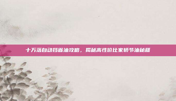 十万落自动挡省油攻略,揭秘高性价比家轿节油秘籍