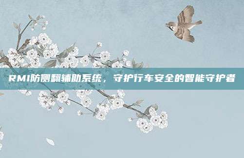 RMI防侧翻辅助系统,守护行车安全的智能守护者