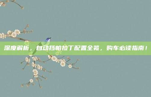深度解析,自动挡帕拉丁配置全览,购车必读指南!