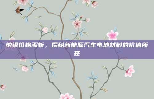 纳银价格解析,揭秘新能源汽车电池材料的价值所在