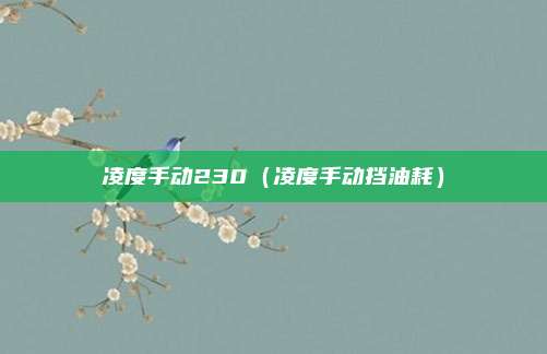 凌度手动230(凌度手动挡油耗)
