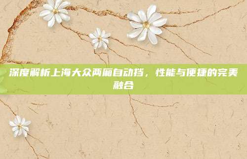 深度解析上海大众两厢自动挡,性能与便捷的完美融合
