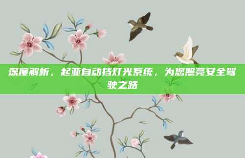 深度解析,起亚自动挡灯光系统,为您照亮安全驾驶之路