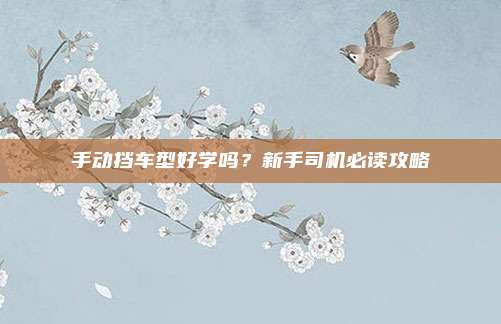 手动挡车型好学吗?新手司机必读攻略