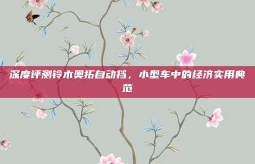 深度评测铃木奥拓自动挡,小型车中的经济实用典范