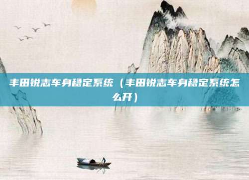 丰田锐志车身稳定系统（丰田锐志车身稳定系统怎么开）
