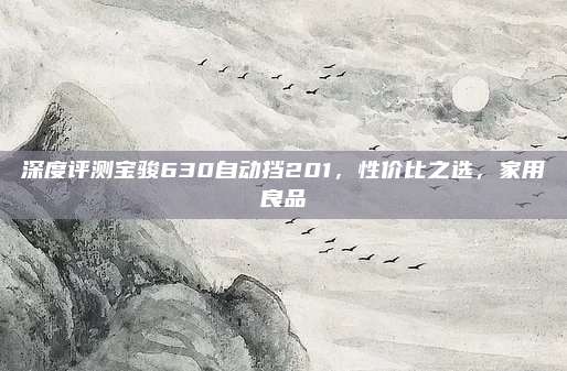 深度评测宝骏630自动挡201,性价比之选,家用良品