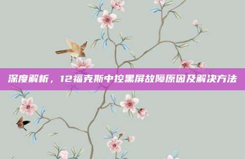 深度解析,12福克斯中控黑屏故障原因及解决方法