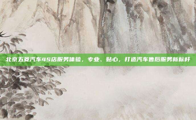 北京五菱汽车4S店服务体验,专业、贴心,打造汽车售后服务新标杆