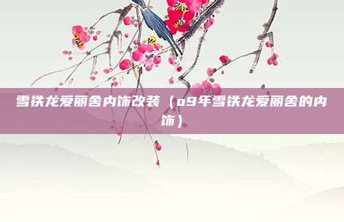 雪铁龙爱丽舍内饰改装（o9年雪铁龙爱丽舍的内饰）