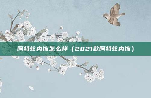 阿特兹内饰怎么样（2021款阿特兹内饰）