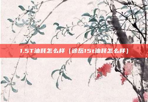 1.5T油耗怎么样（途岳15t油耗怎么样）