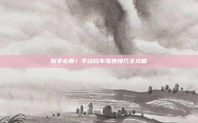 新手必看!手动档车驾驶技巧全攻略