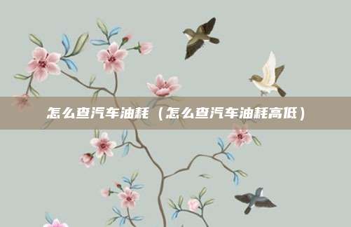 怎么查汽车油耗（怎么查汽车油耗高低）