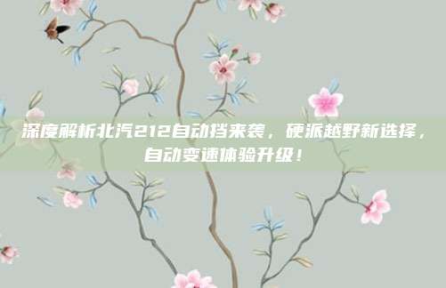 深度解析北汽212自动挡来袭,硬派越野新选择,自动变速体验升级!