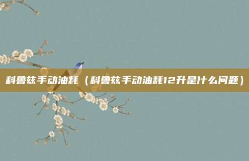 科鲁兹手动油耗（科鲁兹手动油耗12升是什么问题）